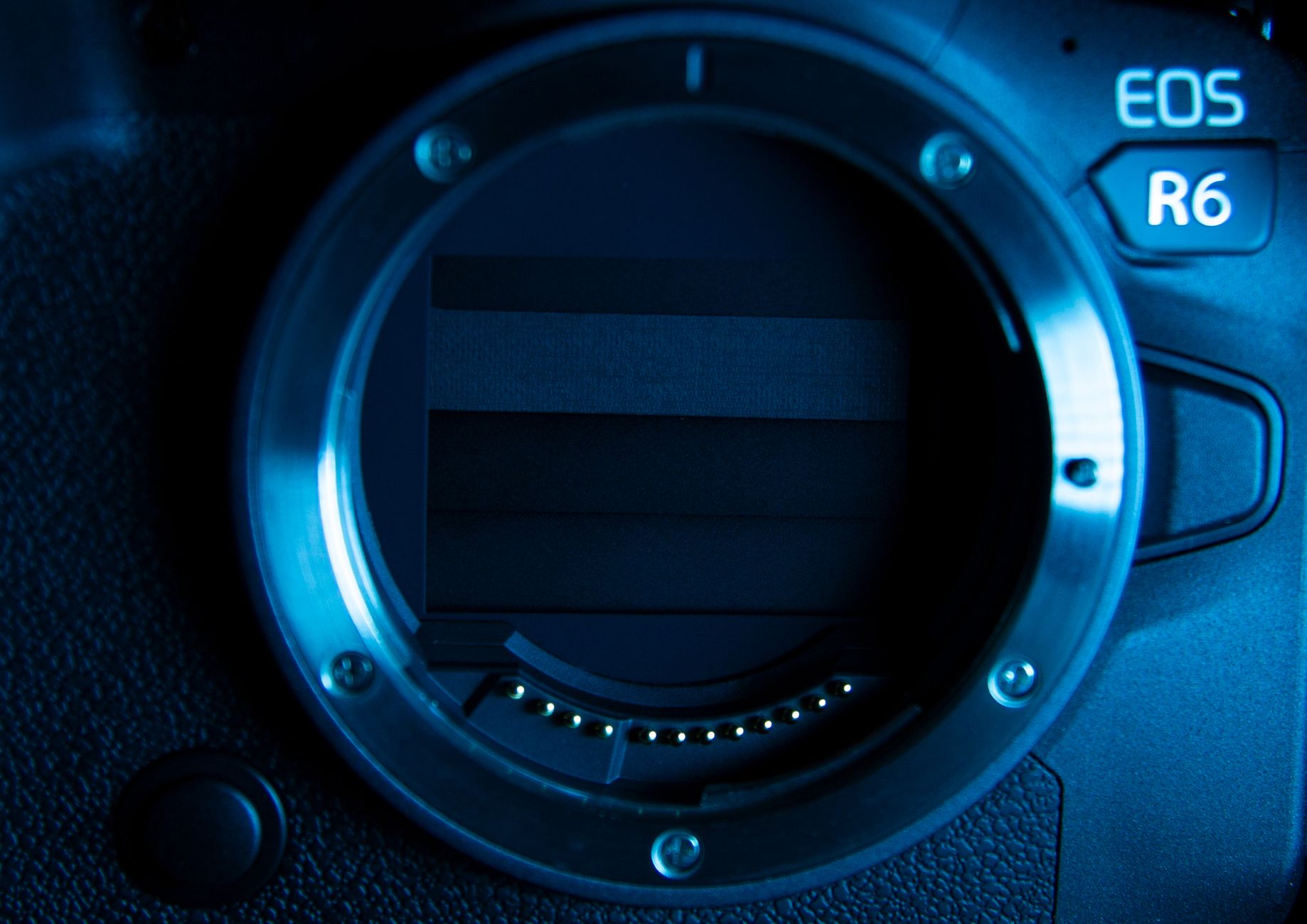 How Does a Camera Sensor Work? The Light-to-Image Process