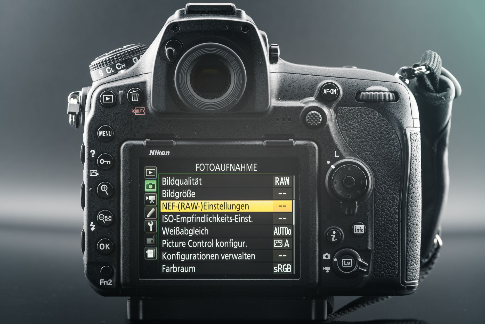 How Does ISO Affect Image Quality? Noise, Detail, and Exposure